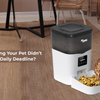 What If Feeding Your Pet Didn’t Feel Like a Daily Deadline?