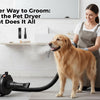 A Smarter Way to Groom: Meet the Pet Dryer That Does It All