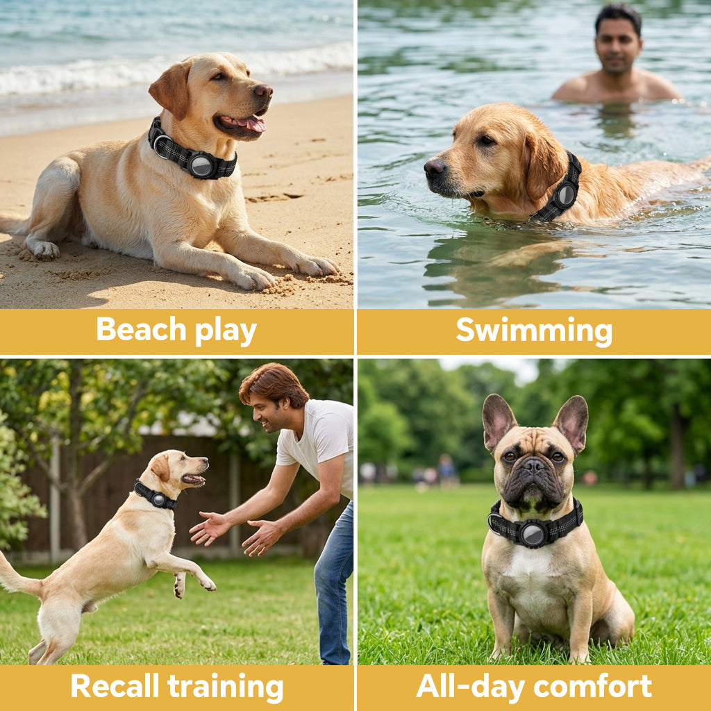 Qpets Reflective AirTag Dog Collar for Medium Dogs with Waterproof Holder, Padding and Dual D Rings