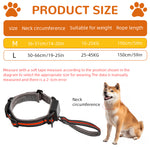 Qpets® Dog Collar 2 in 1 Adjustable Dog Collar with 1.5 Meters Retractable Pull Handle Intergrated Dog Leash Dog Collar Night Safety Reflective Dog Collar for Small Medium Dog, Suitable for 10-25kg
