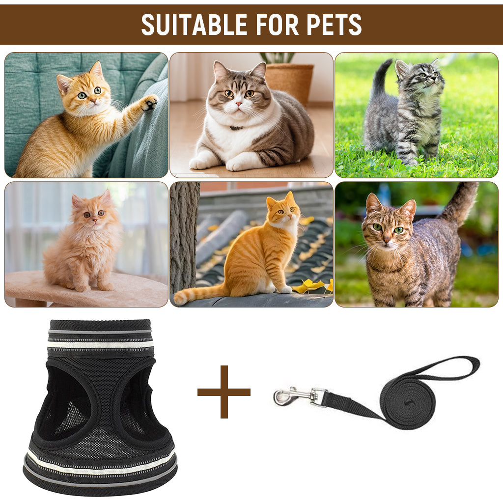 Qpets® Cat Harness with 59'' Leash Small Cat Vest Harness Cat Harness Safety Night Reflective Strip Design Breathable Adjustable Quick ReleaseSummer Cat Harness for Walking, M
