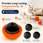 Qpets Interactive Dog Ball with 10mm ETPU Shell, Two Play Modes and IPX7 Waterproof Design