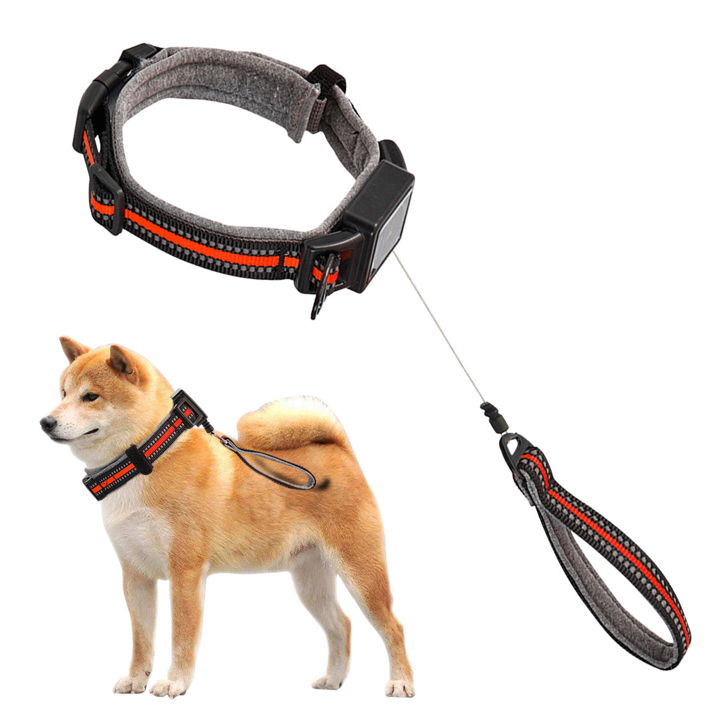 Qpets® Dog Collar 2 in 1 Adjustable Dog Collar with 1.5 Meters Retractable Pull Handle Intergrated Dog Leash Dog Collar Night Safety Reflective Dog Collar for Medium /Large Dog, Suitable for 25-45kg