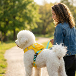 Qpets Dog Harness Backpack and Leash Set with Reflective Oxford Fabric, Medium L, 42-55 cm Chest