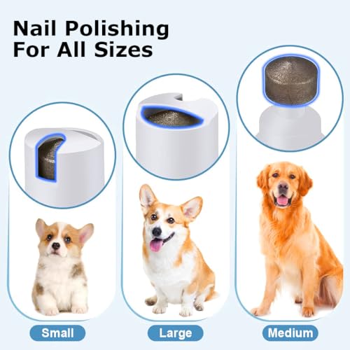 Qpets® Professional Dog Grooming Kit 4 in 1 Cat Hair Trimmer with 3mm 9mm Combs Low Noise Pet Nail Grinder Foot Repair Tools for Shedding Seasons Wound Care Home 3 PCS