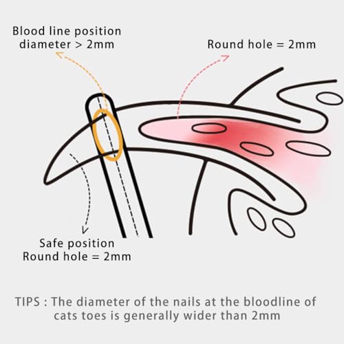Qpets® Cat Nail Cutter for Persian Cat Cute Clipper Bear Design Nail Cutter for Stainless Steel Brown Trimmer PP Handle Pet Small Pets X3