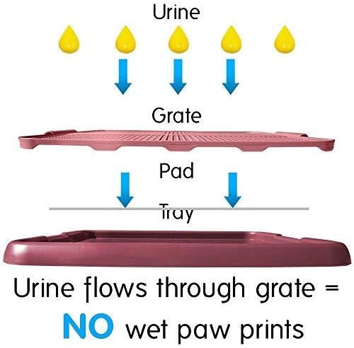Dog Pet Potty Indoor Training Mesh Toilet, Regular Protect Litter Tray Pan Pad Holder, Keep Paws Dry and Floor Clean (19X 14 Inch, Blue,Suitable for Small Dog)