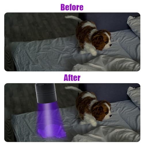 Qpets® UV Light Torch 12 LED UV Portable Flashlight Jade Appraisal Light Detector Lamp, Also Used for Leak, Pet Urine, Bed Bug, Scorpion, Hotel Inspection 2 PCS