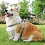 Qpets Dog Harness for Outdoor Walks with Double D Rings and Reflective Strip XL 62–72cm