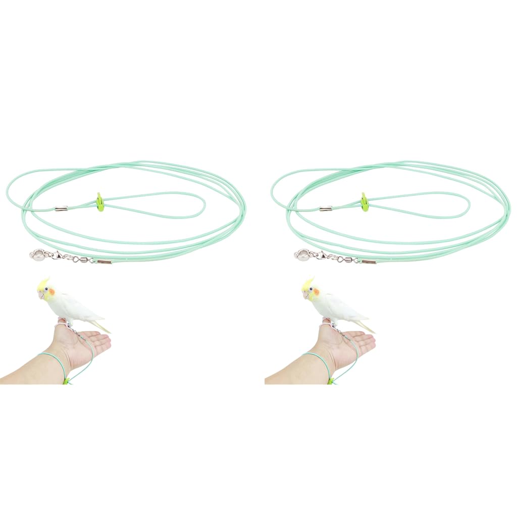 Qpets Parrot Aviator Leash for Outdoor Flying with 6.6ft Elastic Cord and Adjustable Buckle | 2PCS Set