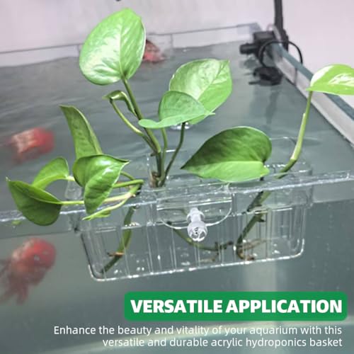 Qpets® Aquarium Plant Basket 3-Compartment Acrylic for Fish Tank Hanging Hydroponics with Draining Holes Accessories 2PCS