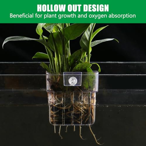 Qpets® Wall-Mounted Aquarium Plant Holder Cup, ABS Acrylic Plant Basket with Draining Holes & Screw Fix, Transparent Pot for Hydroponic Aquatic Plants (2Pack)