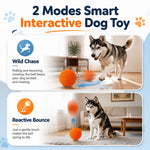 Qpets Interactive Dog Ball with 10mm ETPU Shell, Two Play Modes and IPX7 Waterproof Design