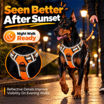 Qpets Size L Dog Harness with Adjustable Chest Fit, Reflective Strips and 1.5 m Leash