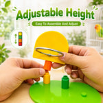 Qpets Interactive Bird Toy Basketball Hoop and Ring Toss Set with Adjustable Height for Small Parrots