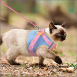 Qpets Cat Vest Harness for Outdoor Walking with 1.5m Leash and 360 Swivel Hook | M Size 35–40cm
