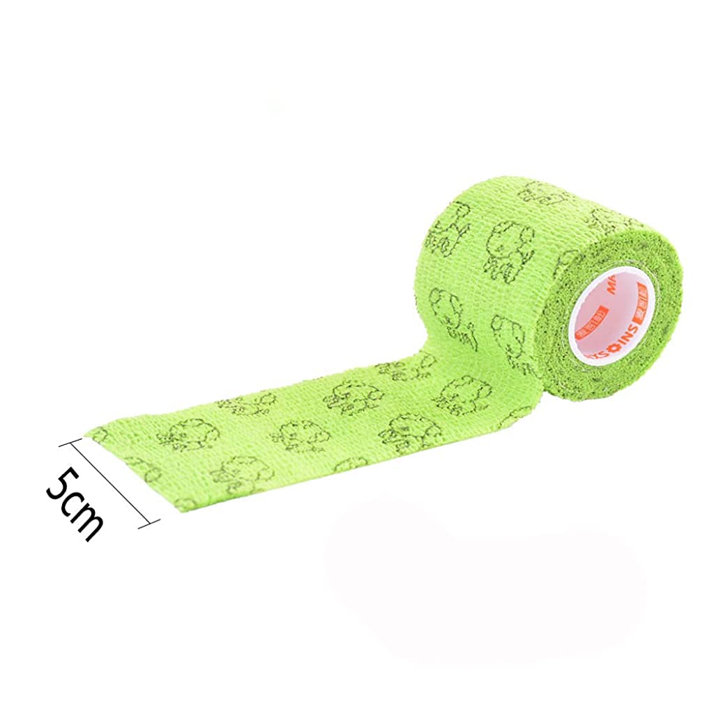 Qpets Kinesiology Tape for Physiotherapy and Vet Care with 6 Rolls 5 cm x 4.5 m | Clean Individually Wrapped Bandages for Pets and People
