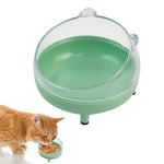 Qpets Cat Bowl for Cats and Dogs with 10° Tilted Stand & 13cm Diameter | PP Holder