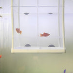 Qpets Fish Breeding Box for Betta with Suction Cups Divider 16x14x15cm Nylon Mesh | 2 pcs