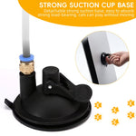 Qpets Cat Teaser Wand for Interactive Play with Suction Cup Base and Fiberglass Rod | Replaceable Feather Toy