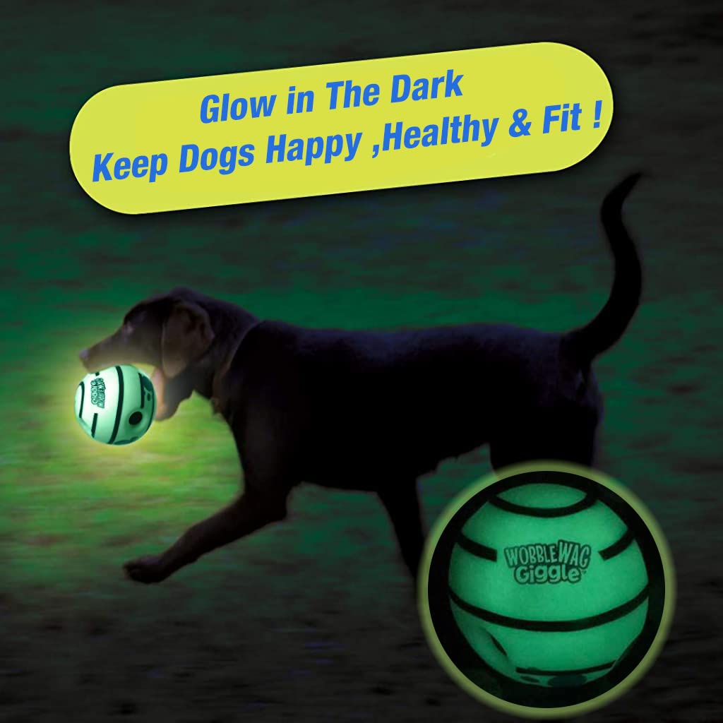 Qpets Interactive Dog Toy Ball for Fetch and Training with 14cm Glow Sound Tubes | Eco PVC