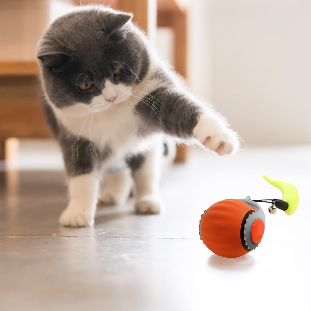 Qpets Electric Automatic Rolling Cat Ball Toy with Teasing Tail & Bell | USB Rechargeable 2 PCS