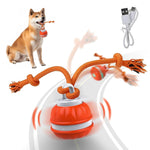 Qpets Auto Rolling Pet Ball Toy with LED Light & Birdsong featuring 360° Motion | USB Rechargeable Silicone for Indoor Play