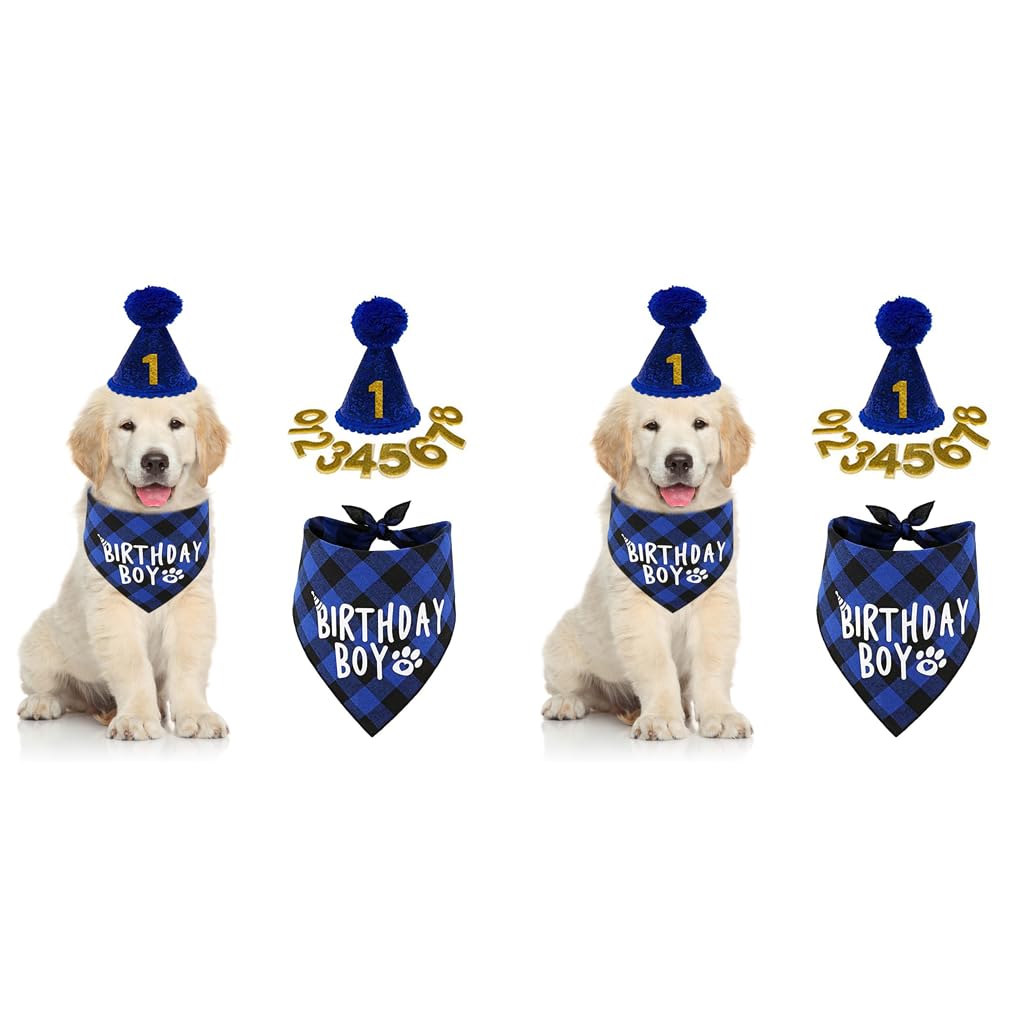Qpets Dog Gifts Hat for Birthday with 40cm and 60cm Plaid Bandana | Blue Party Set