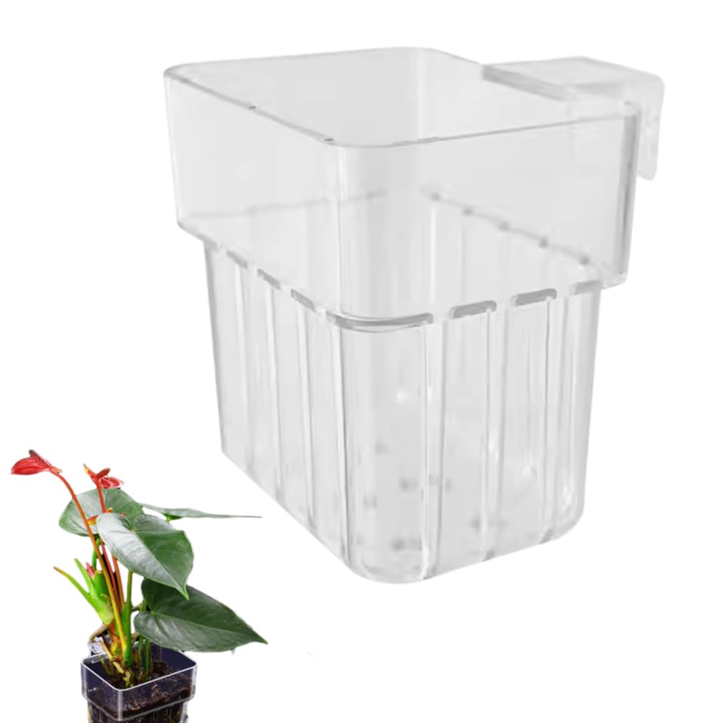 Qpets Aquarium Plant Holder for Fish Tanks featuring Screw Fixed Mount and Draining Holes 8×8×5.7 cm | Clear Acrylic Basket for Freshwater and Saltwater Aquariums