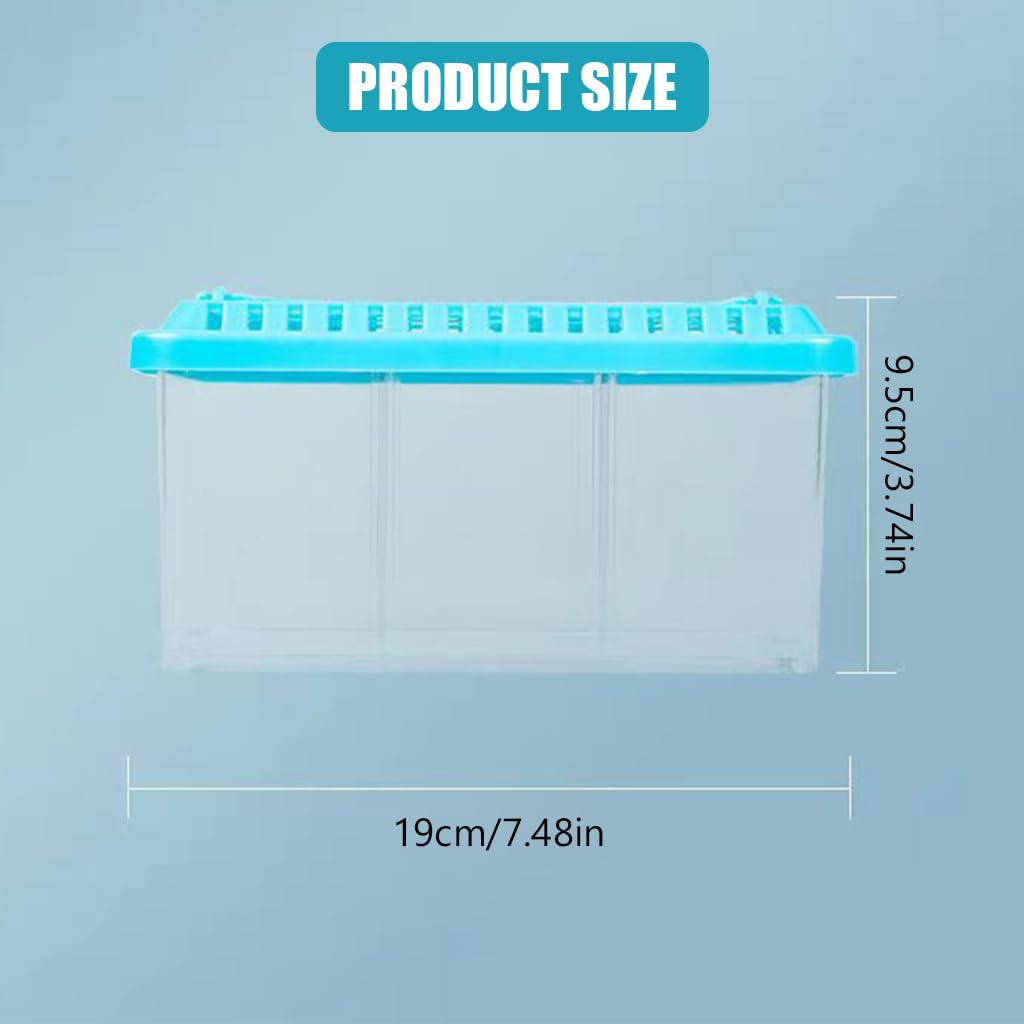 Qpets Mini Desk Fish Tank for Home or Office with 3 Layer Dividing Inserts and Air Lid | Clear Acrylic 9.5×19 cm