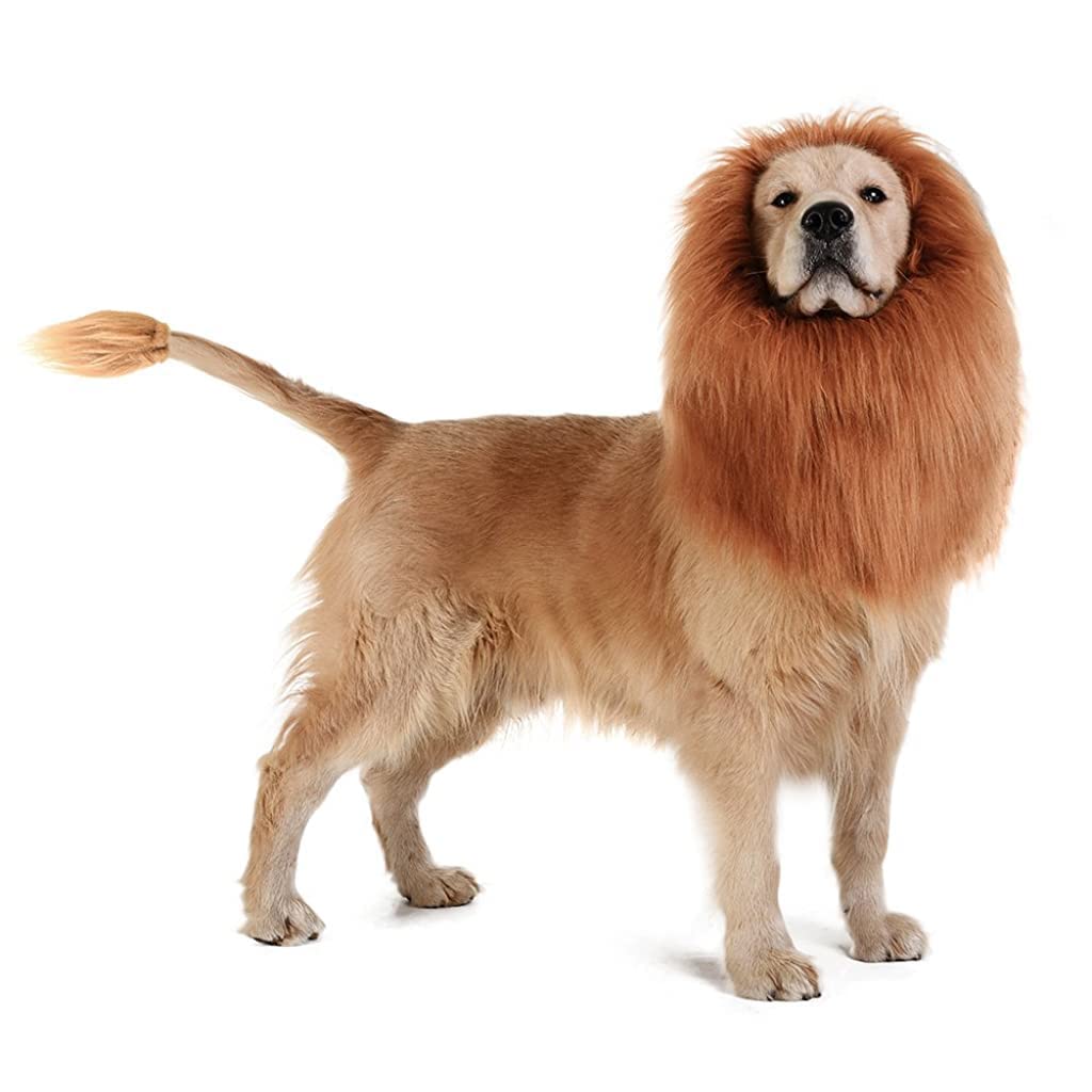 Qpets Dog Lion Mane for Halloween and Festival Parties with Faux Hair Ears | Fits Up to 74cm