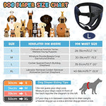 Qpets® Pet Use Breathable Reusable Dogs Diapers Female with 6 Absorbption Cotton Pad Comfort Doggy for Puppy L Recommended Waist 15.7-19.2 Inches 2PCS