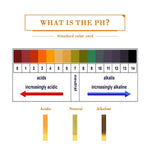 5Pcs Aquarium Aquascaping Tools Kits, Long Stainless Steel Aquarium Plant Tool Aquarium Tweezers, Scissors, Spatula Tool Set, Bonsai Kit Algae Scrapers Aquarium Cleaning Kit for Fish Tank