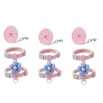 Qpets Cat Harness with Leash for Small Cats featuring Quick Release Buckle | Chest 25–41cm