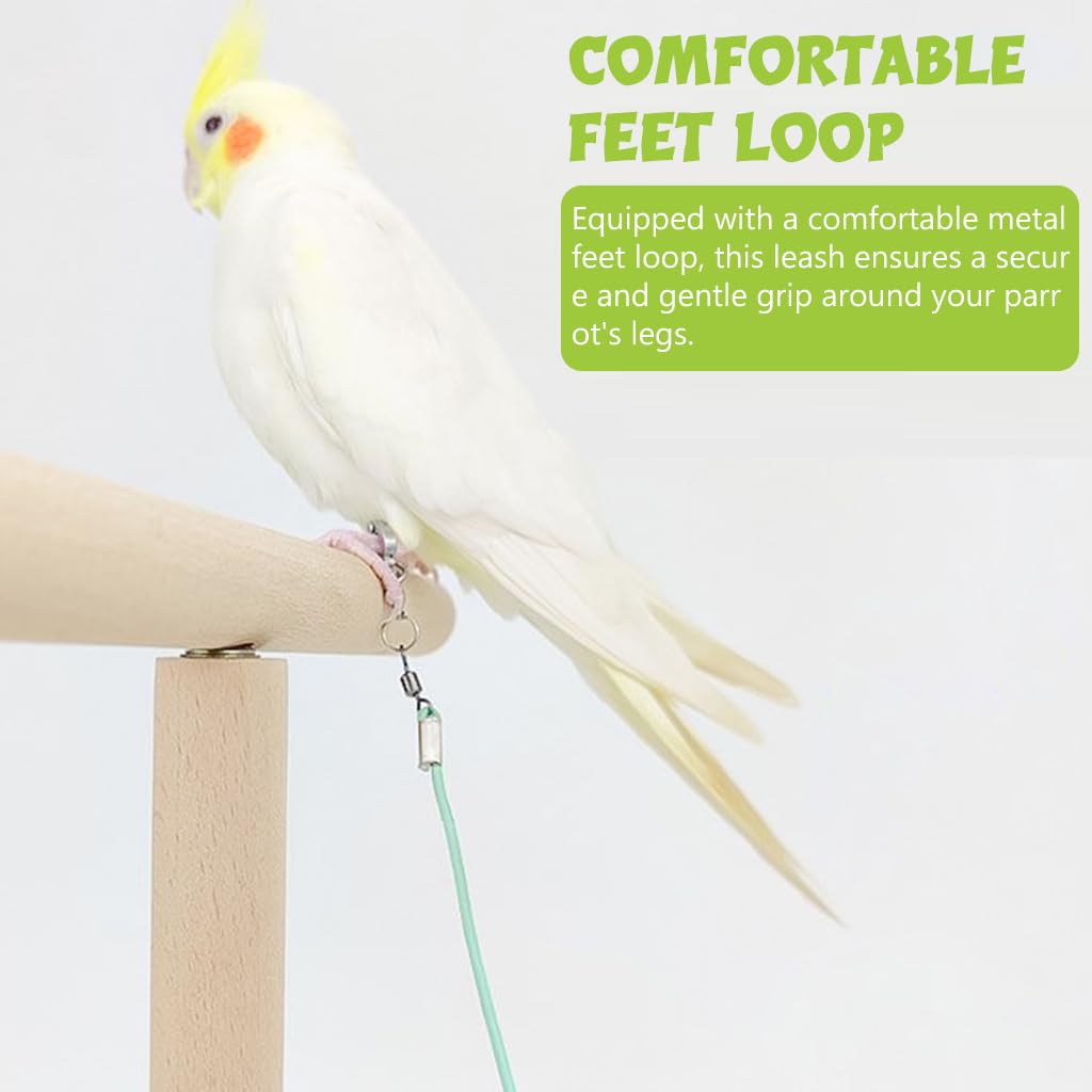 Qpets Parrot Aviator Leash for Outdoor Flying with 6.6ft Elastic Cord and Adjustable Buckle | 2PCS Set