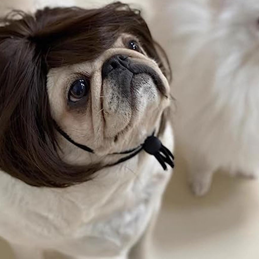 Qpets Dog Wig for Party and Festival Wear with Adjustable Chin Strap in Brown Hairpiece