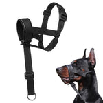 Qpets Dog Head Collar for No Pull Training with Quick Release Buckle and Soft Leather Liner