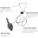 Qpets Cat Teaser Combo for Indoor Cats with 1.8m Adjustable Elastic Rope and Feather Toy