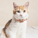 4Pcs Cat Collar Pet Collar Cute Flower Cat Collar with Bell, Lovely Cat Collar Quick Release Adjustable Cat Collar Soft Plush Collar Cat Gift Cat Collar