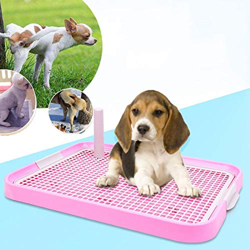 Dog Pet Potty Indoor Training Mesh Toilet, Regular Protect Litter Tray Pan Pad Holder, Keep Paws Dry and Floor Clean (19X 14 Inch, Blue,Suitable for Small Dog)