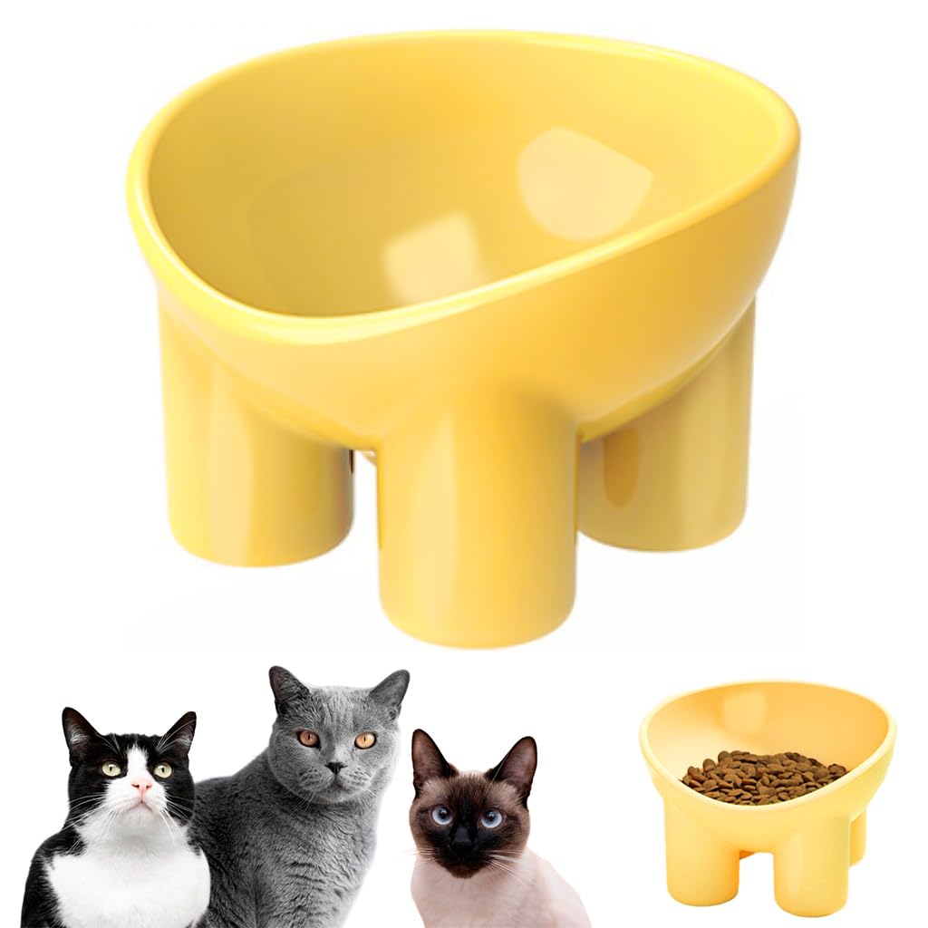 Qpets Elevated Cat Bowl with 3.5 in Raised Stand and Whisker-Friendly 5.4 in Design | PP Safe Anti-Tip Feeder