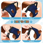 Qpets® Pet Use Breathable Reusable Female Dogs Diapers with 3 Absorption Cotton Pad Comfort Doggy for Puppy M Recommended Waist 13.7-16.9 3PCS