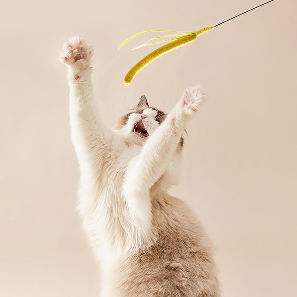 Qpets Cat Teaser Wand for Indoor Play with 19.69 in Wire & Realistic Foxtail Grass Attachment