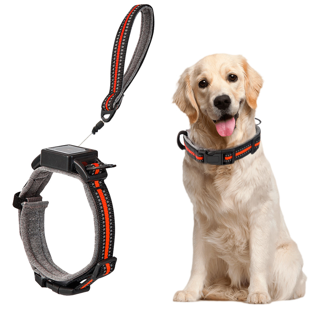 Qpets® Dog Collar 2 in 1 Adjustable Dog Collar with 1.5 Meters Retractable Pull Handle Intergrated Dog Leash Dog Collar Night Safety Reflective Dog Collar for Small Medium Dog, Suitable for 10-25kg