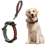 Qpets® Dog Collar 2 in 1 Adjustable Dog Collar with 1.5 Meters Retractable Pull Handle Intergrated Dog Leash Dog Collar Night Safety Reflective Dog Collar for Small Medium Dog, Suitable for 10-25kg