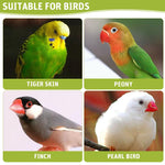 Qpets Parrot Mirror Toy for Cage with Food Box 18.5x9x14cm featuring Clip-on Design | Cloud Shape Interactive Play for Parakeet and Cockatiel