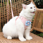 Qpets Cat Vest Harness with 1.2m Leash featuring Quick Release Buckle and Breathable Fabric for Small Cats | Adjustable Fit 31–42cm Chest