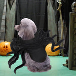 Qpets Halloween Dog Costume for Small Pets featuring Adjustable Fit 29.9–39.8cm Neck | Fun Spider Design