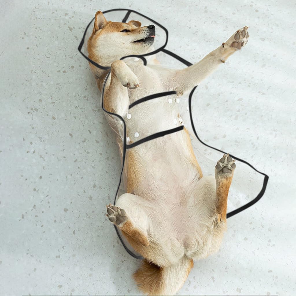 Qpets Dog Raincoat for Outdoor Walks with Dual Row Buttons and Clear EVA Hooded Design