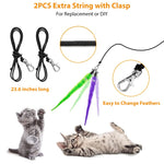 Qpets Cat Teaser Toy Set for Play and Exercise with 2 Retractable Wands and 22PCS Accessories